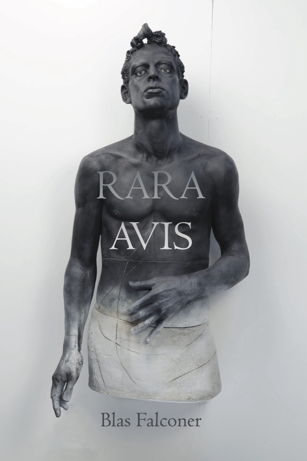 Rara Avis